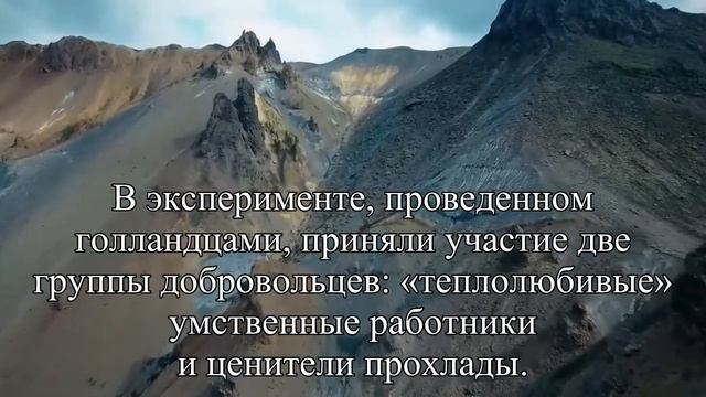 Температура в офисе очень влияет на работоспособность — Статья смотреть онлайн