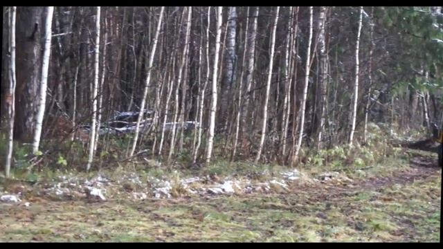 Производители мотоциклов. Часть 57. Россия. IRBIS. смотреть онлайн