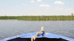 Подвесной лодочный «БОЛОТОХОД» на Казанке