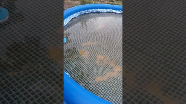 Intex без каркасный Бассейн установка и советы новчикам смотреть онлайн