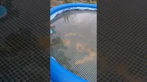 Intex без каркасный Бассейн установка и советы новчикам