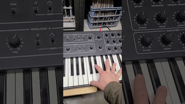 Sweet and Sour Beat - Prophet 600, Volca Beats, Boss Metal Zone смотреть онлайн