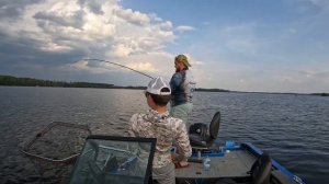 Научил ловить судака. Рыбалка с гидом с паноптиксом