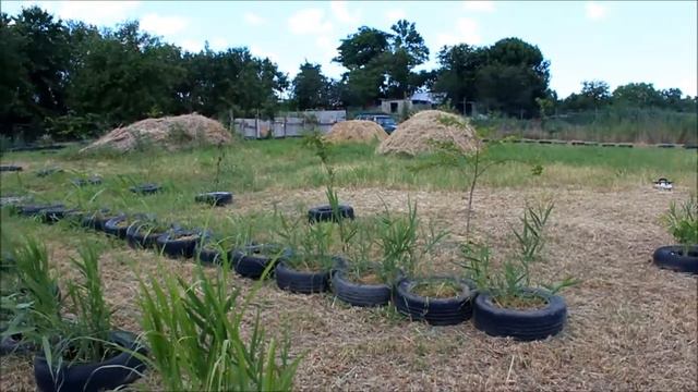 Заготовка сена на зиму/где и сколько мы берём сена/Новая Жизнь в деревне смотреть онлайн