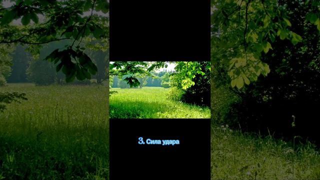 LION vs TIGER (Лев против Тигра), Кто сильнее , Лев или Тигр? смотреть онлайн