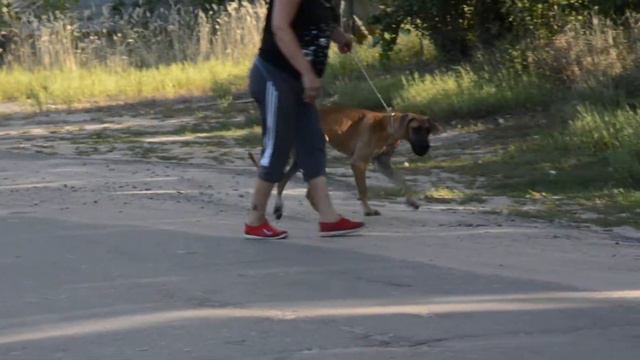 DSC 1970 смотреть онлайн