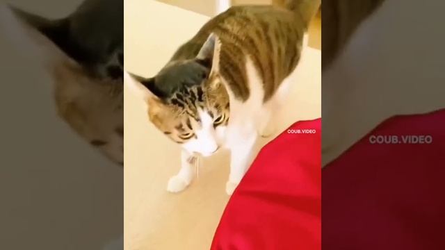 Потанцуем) смотреть онлайн