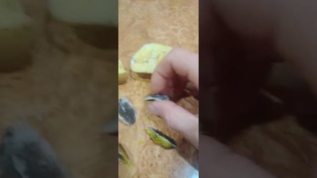 свечи с бобровой струи смотреть онлайн