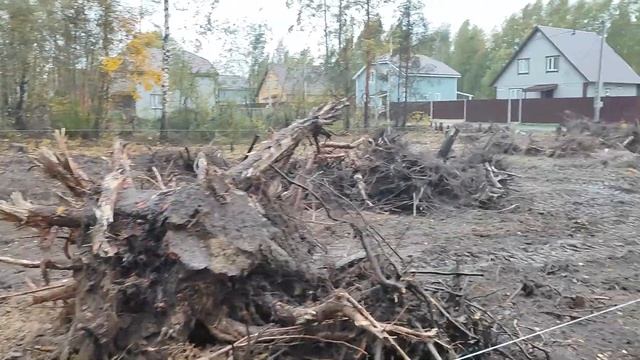 #9 КОРЧЕВАНИЕ ПНЕЙ/ Затраты на уборку/ 2022 смотреть онлайн