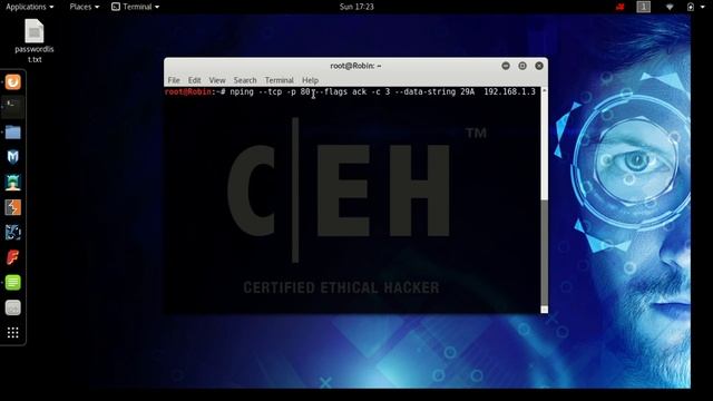 Using Nping to send TCP with ACK flag with a payload of 29A смотреть онлайн