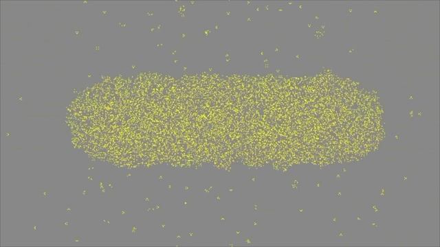 Critters (reversible cellular automaton) смотреть онлайн