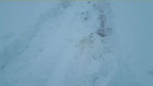 НИВА 2121(сток) по снегу на зимней резине кама И-511 05.01.2022