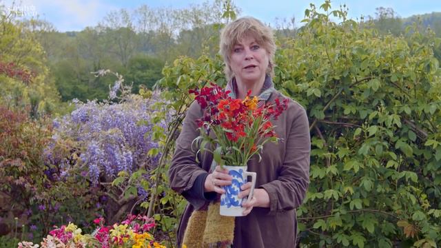 Gardening at home with Sarah | Favourite Wallflowers смотреть онлайн