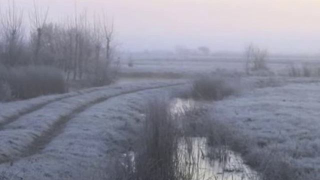 Sun Of The Sleepless - Tausend Kalte Winter