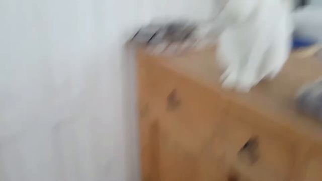 Наш глухой белый кот Иваныч раньше всех просыпается и первым ложится спать Наши будни смотреть онлайн