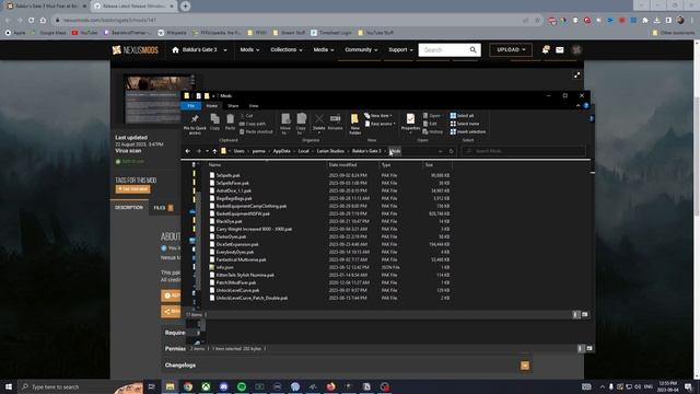How to Install Mods in Baldur's Gate 3 смотреть онлайн