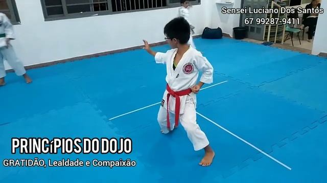 Treinamento de Heian Sandan e Godan смотреть онлайн