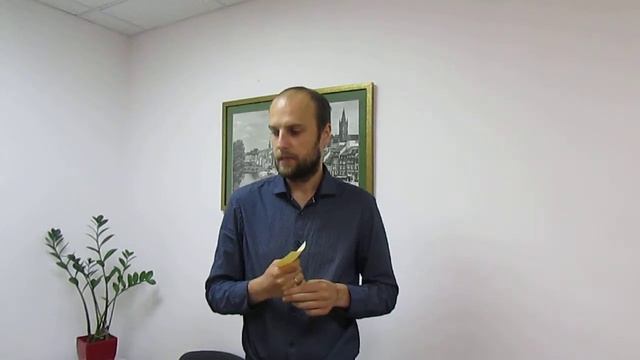 Этапы разработки любого сайта смотреть онлайн