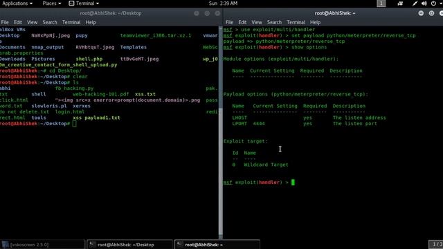 how hacker hack kali linux using an python script смотреть онлайн