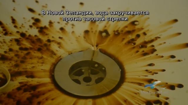 Куда закручивается вода? :) смотреть онлайн
