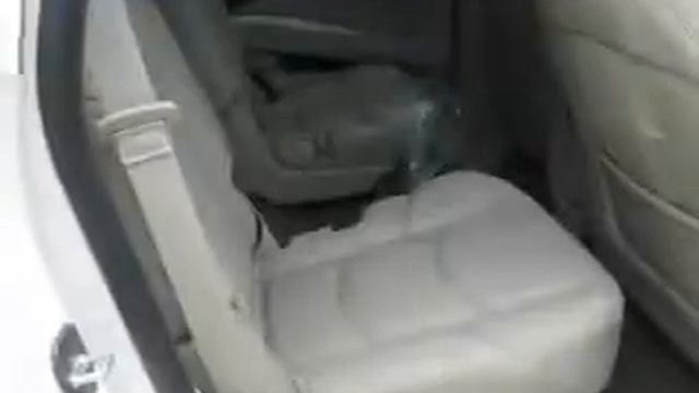 2015 Cadillac Escalade F9335 - Kansas City MO смотреть онлайн