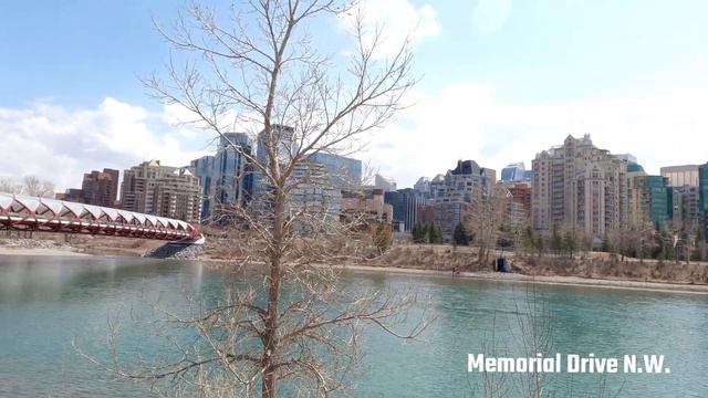 [4K] Walking Tour | Calgary Alberta | Canada смотреть онлайн