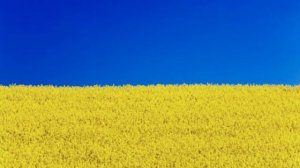 Noize MC - Песня предателя