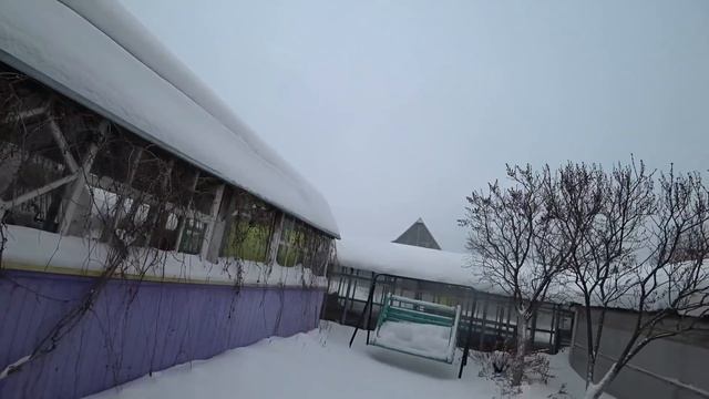 Кузя вымогает еду. Прилетели вороны. Горбуша. Герани. Жёсткая вода. смотреть онлайн