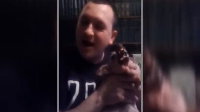 Умная собачка Соня смотреть онлайн