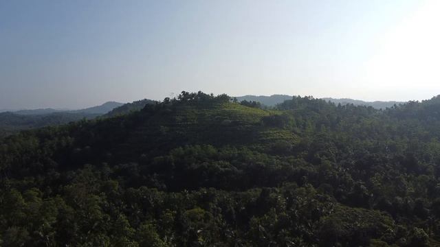 Into the Nature | Relaxing Cinematic Drone Footage Travel Video | DJI Mini 2 SE смотреть онлайн