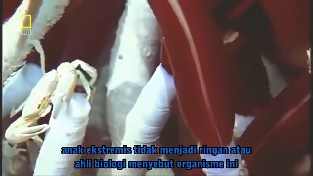 National Geographic Alien Mysteries sub indonesia смотреть онлайн
