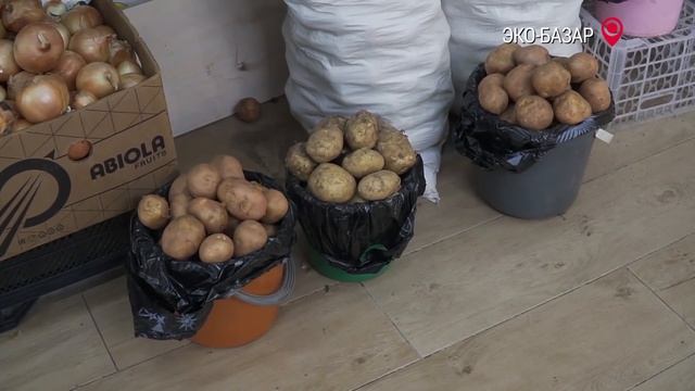 Где дешевле продукты в Челнах: в магазине или на рынке? Проверили Ленту, Челны-хлеб и с/х ярмарку смотреть онлайн