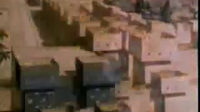 ИСЧЕЗНОВЕНИЕ КОВЧЕГА смотреть онлайн