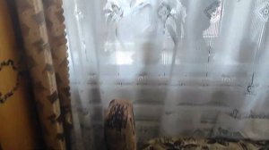 Защитный дроссель от статики для вашего трансивера