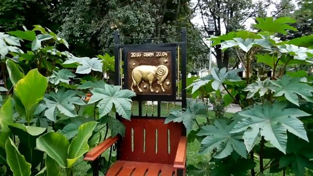 Парк санатория "Виктория" в Ессентуках смотреть онлайн