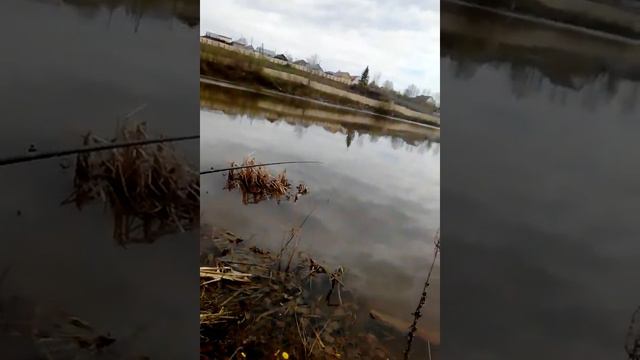 самое лутчшее место отдыха в летний период - пруд рыбалка смотреть онлайн