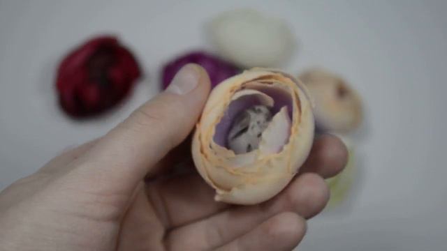 Пионы средние// Peonies averages смотреть онлайн