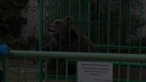 ЯРОСЛАВЛЬ. Живая История Руси. (часть 1)