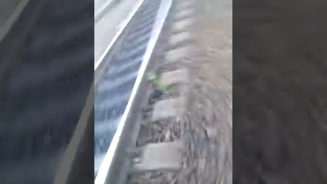 Танки в Лесозаводске смотреть онлайн