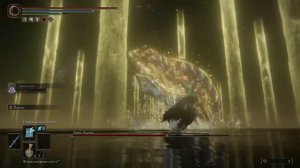 Elden Ring Boss Fight - Радагон и Зверь Элдена магом (Radagon & Elden Beast with mage)