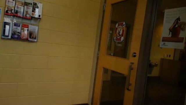 ПРОПАЛА СОБАКА...ПО КЛИЧКЕ БАРХАН смотреть онлайн