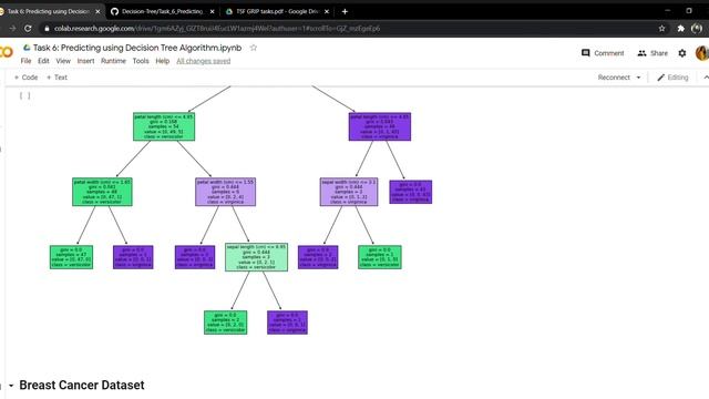 Predicting using Decision Tree Algorithm || iris dataset || Breast cancer dataset смотреть онлайн