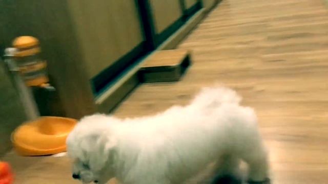 Валенсия Мон Амур смотреть онлайн