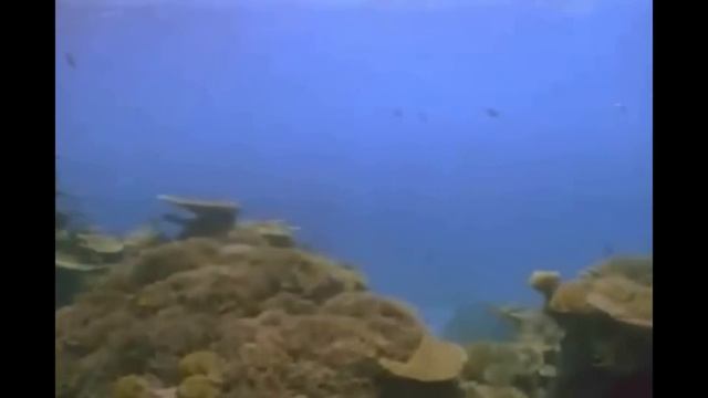 Ocean Girl - Water ( Oliver Shanti ) смотреть онлайн