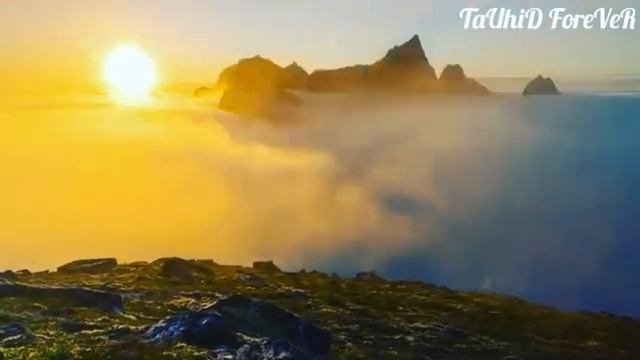 Тахаджуд ( кто хочет приблизиться к своему Господу..?! Пусть совершает тахаджуд, это искренность! ) смотреть онлайн