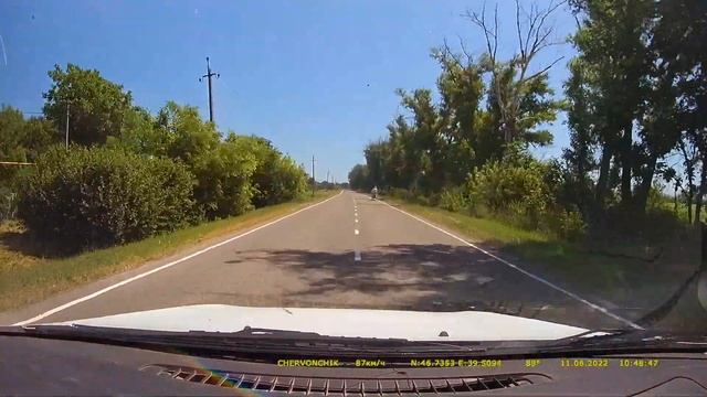 Охота сокола на дороге смотреть онлайн