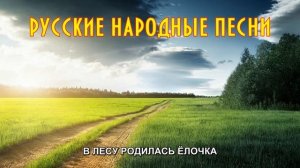 В лесу родилась ёлочка