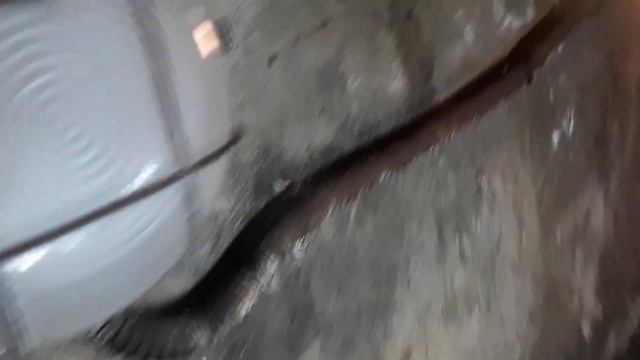 Замена масла и масленого фильтра Гранд Сценик 4 2017 1 6 dci 130 л с смотреть онлайн
