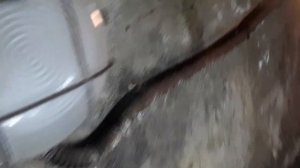 Замена масла и масленого фильтра Гранд Сценик 4  2017 1 6 dci 130 л с