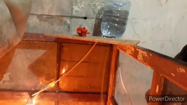 Гуси ДАТСКИЙ ЛЕГАРТ смотреть онлайн
